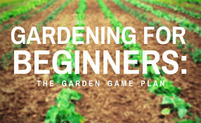 The Garden Game Plan