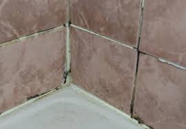 Hard Water Leads To More Tile And Grout