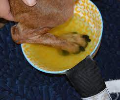 paw soaks my fave herbal combo wag