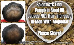 Or you can massage your scalp and hair with pumpkin seed oil, allow it on overnight, and next day wash it off. Why Pumpkin Seed Oil Will Make You Healthy And Beautiful