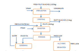 Palm Fruit Oil Production Process_manufacture Palm Oil