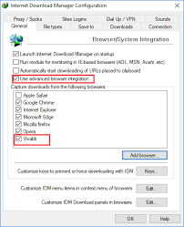 Internet download manager, download manager, download helper, How To Integrate Internet Download Manager Idm Into Vivaldi Browser