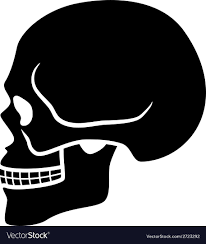 human skull symbol side view royalty