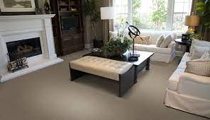 the top 5 reasons wool carpet is right
