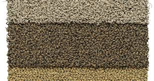 kasthall tegel corner carpet context