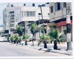شارع النصر في غزة