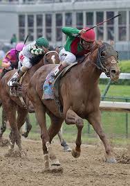 Kentucky Derby 2011 Live Results And Analysis