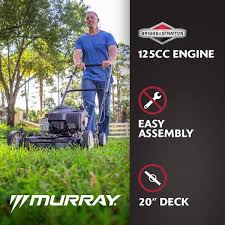 reviews for murray 20 in 125 cc briggs