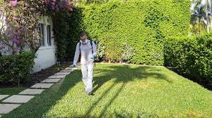 Palm Beach Gardens Weed And Bug Control