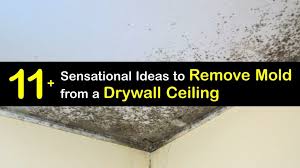 Removing Mold From The Ceiling
