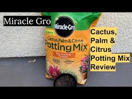 What soil is best for my succulents in a pot? can i plant my succulents growing indoors in potting soil? it's hard to sometimes find smaller portions of sand and what not where i live and if anyone else has that problem, i make a big batch from miracle gro cactus soil, organic potting mix and perlite. Miracle Gro Cactus Palm Citrus Potting Mix Review Youtube