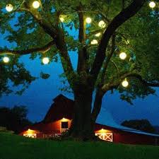 tree lighting solar tree lights