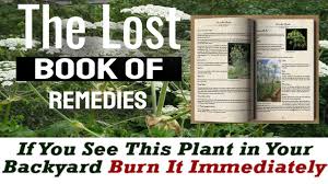 The lost book of remedies ebook contains a series of medicinal and herbal recipes. The Lost Book Of Remedies Pdf Download Sharon Mastel