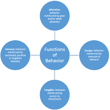 four functions of behavior knilt