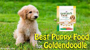 Looking for the best dog foods for your goldendoodle? Best Puppy Food For Goldendoodle Top 5 Reviews