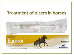 omeprazole horse ulcer treatment paste