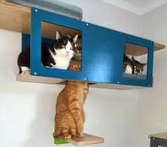 Wally Tunnel Cat Wall Shelf With 2 Beds