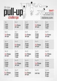 Perfect Pullup Workout Chart Pdf Blog Dandk Workout