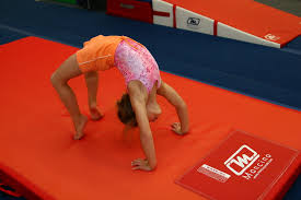 chions united gymnastic academy