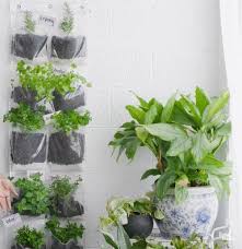 15 Diy Hanging Herb Garden Indoors With