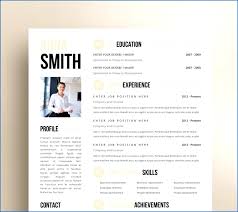Best 5 Free Professional Simple Resume Template Word Download Doc