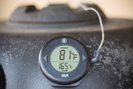 Thermoworks Dot Meat Thermometer Review Grilling Companion