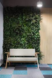 Green Walls Indor And Outdoor Vertical