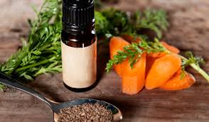 amazing carrot oil benefits for skin
