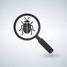 Bug Under Magnifying Glass Vector Icon