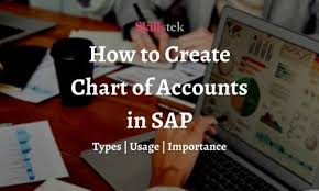 chart of accounts in sap complete