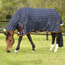 mt turnout rug umweight combo