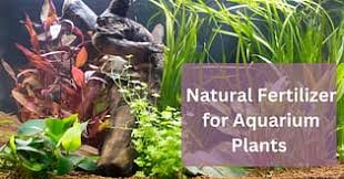 natural fertilizer for aquarium plants
