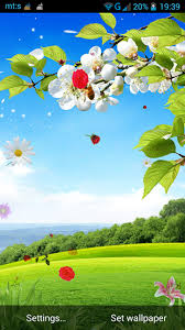 android spring by pro live wallpapers