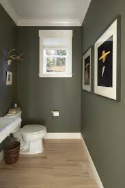 Green Gray Powder Room Walls With White
