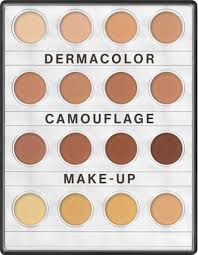 dermacolor camouflage mini palette