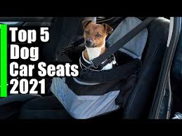 Best Dog Car Seats Top 5 Car Seats