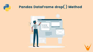 how to drop columns in pandas dataframe