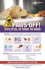 paws off xylitol is toxic to dogs fda