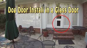 A Dog Door Into Glass French Doors