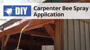 carpenter bee spray application