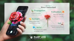 It also identifies pests and diseases and provides expert advice for questions you ask about plants. Plant Lens Fur Android Apk Herunterladen
