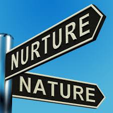 nature vs nurture essay   YouTube