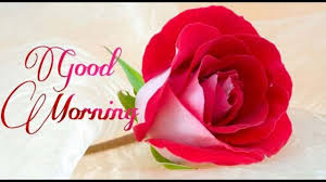good morning wishes greetings whatsapp