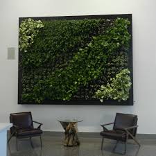 how to create a living wall in your