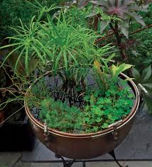How To Make A Water Garden In A Pot
