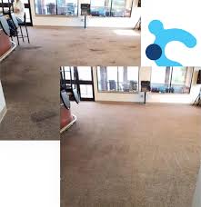 carpet cleaning attention to detail