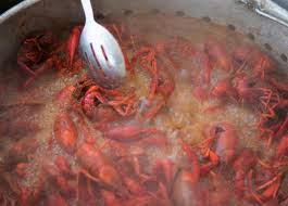 where to find a crawfish boil in ta bay