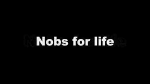 Image result for no B S