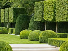 Organic Artistry How Topiary Can