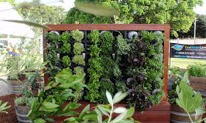 Vertical Gardening The Only Way Is Up